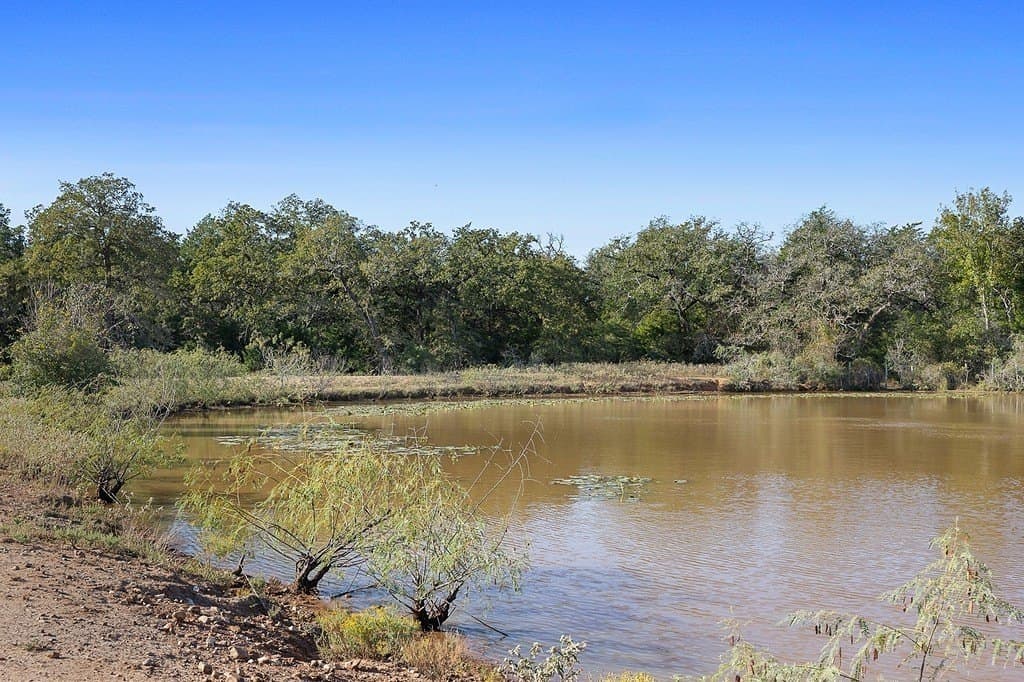 72.14 acres in Bastrop County gallery image 4