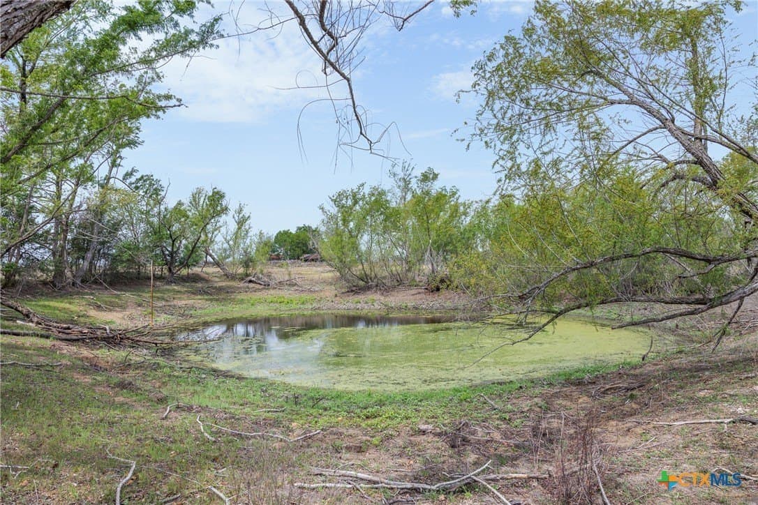 19 acres in Bastrop County - photo 31