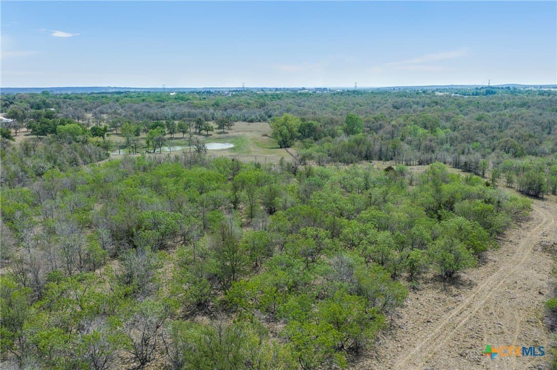 19 acres in Bastrop County - photo 14