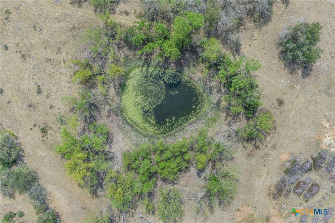 19 acres in Bastrop County - photo 17