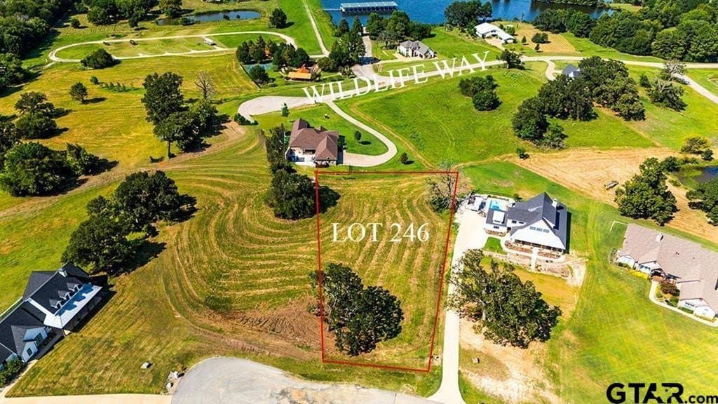 1 acres in Henderson County gallery image 3