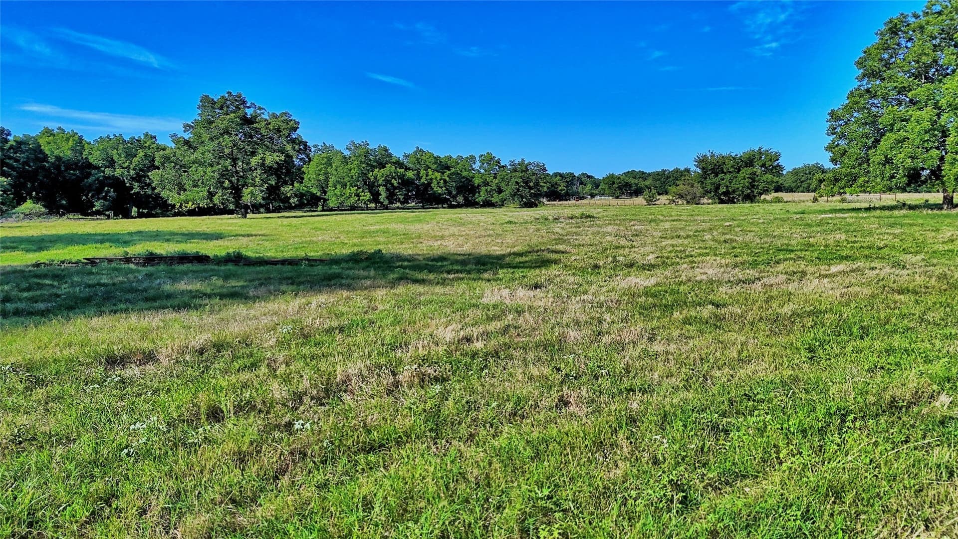 39 acres in Cooke County - photo 17