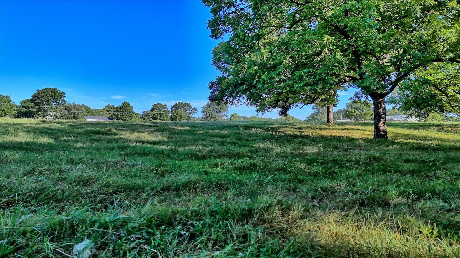 39 acres in Cooke County - photo 13