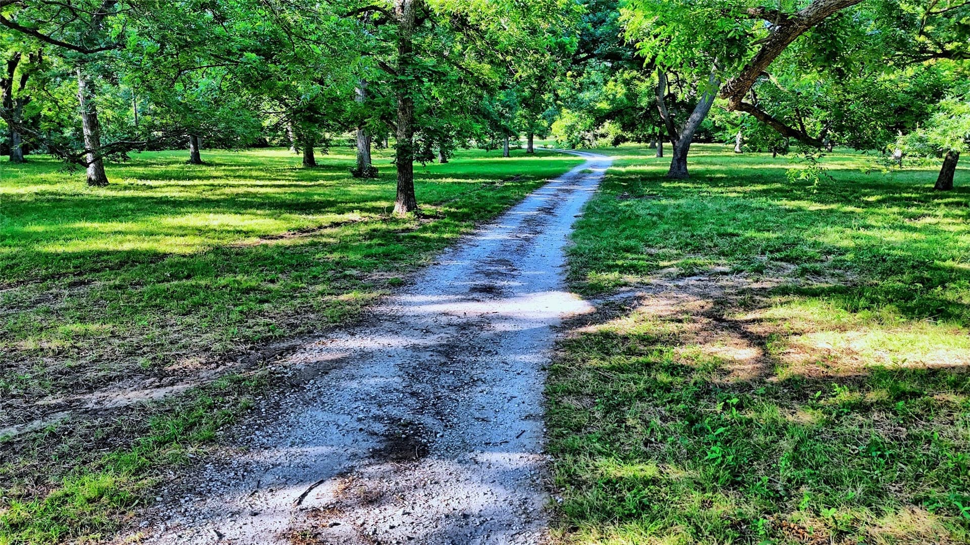 39 acres in Cooke County - photo 9