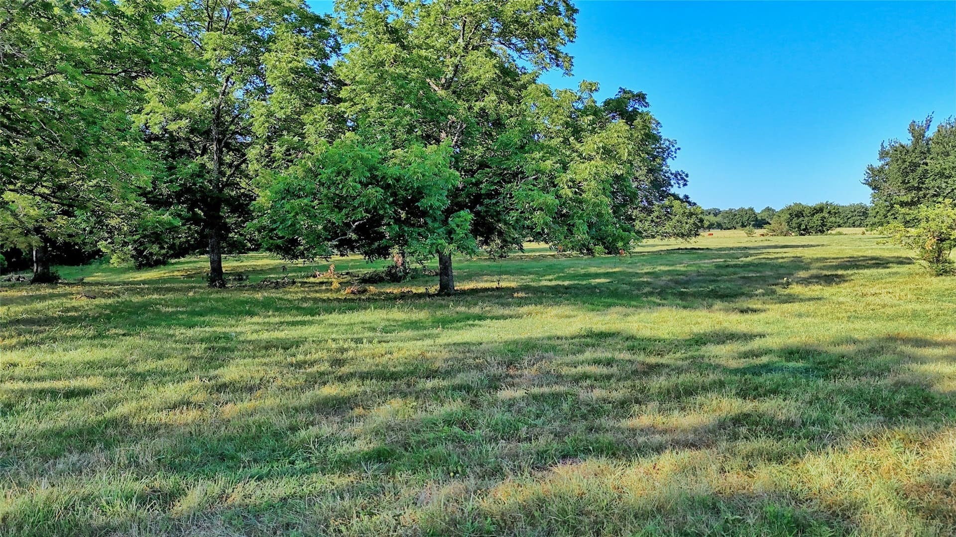 39 acres in Cooke County - photo 16