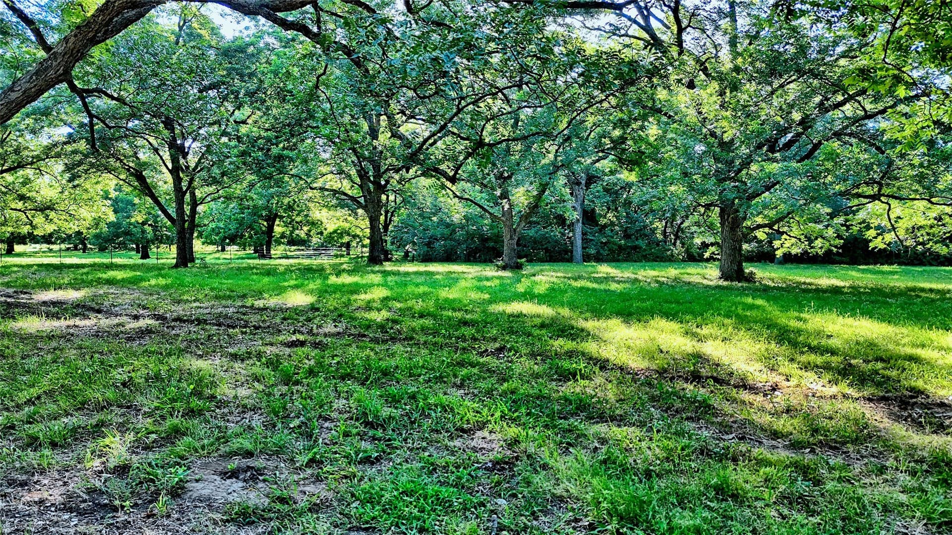 39 acres in Cooke County - photo 10
