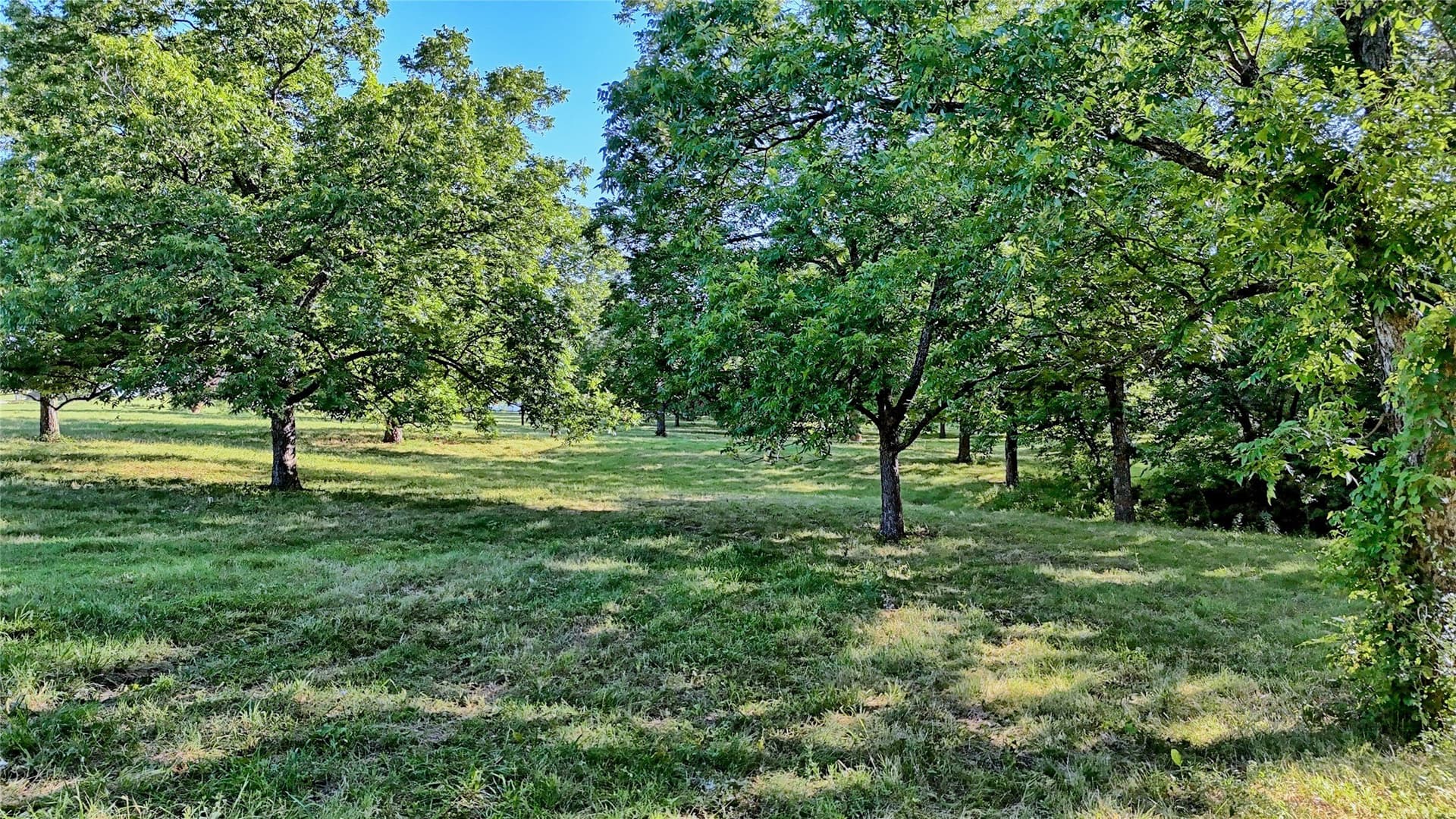 39 acres in Cooke County - photo 2