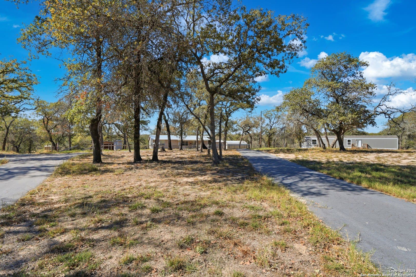 16.56 acres in Wilson County gallery image 2