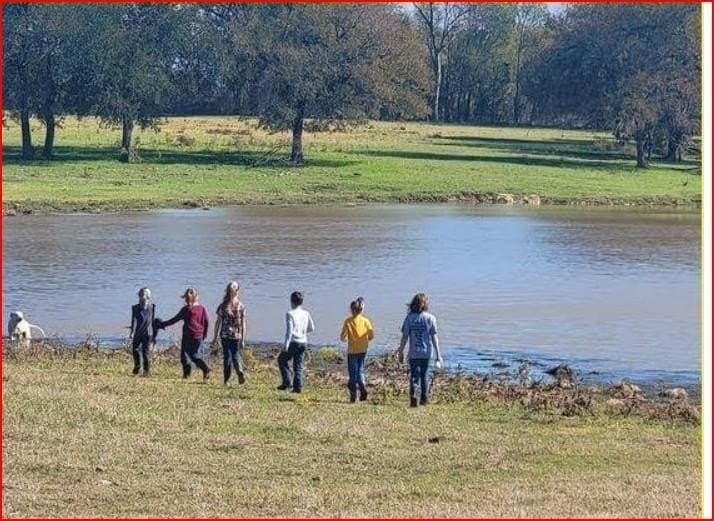 238.1 acres in Ellis County