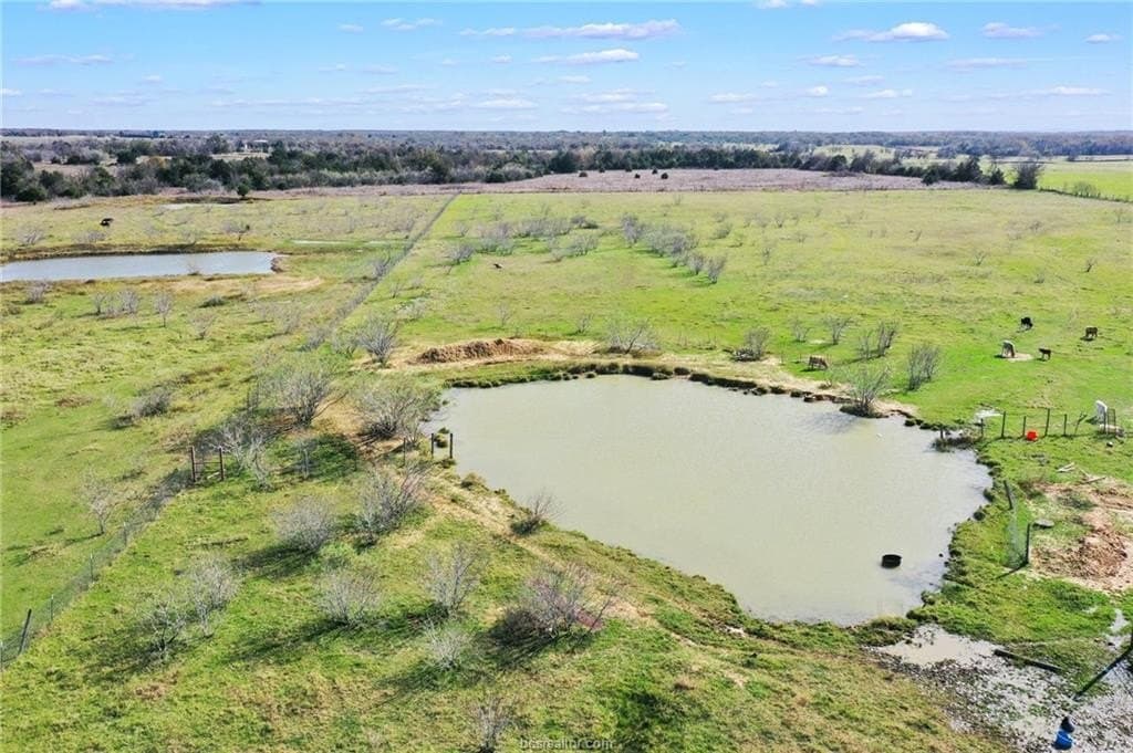30.99 acres in Milam County gallery image 3