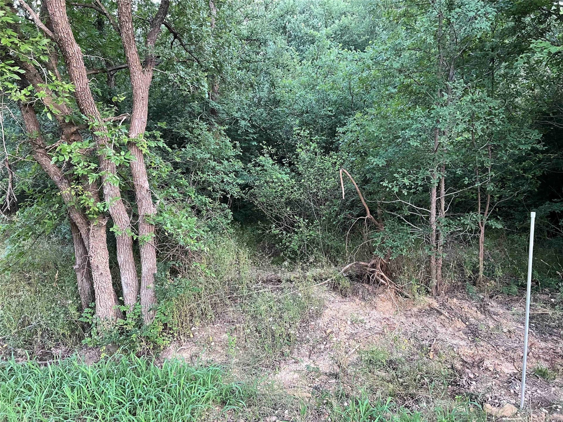 0.34 acres in Grayson County gallery image 4