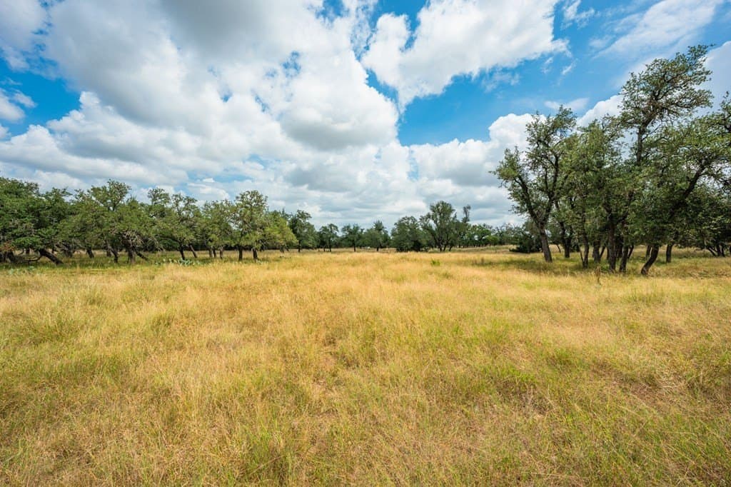 4.3 acres in Gillespie County - photo 10