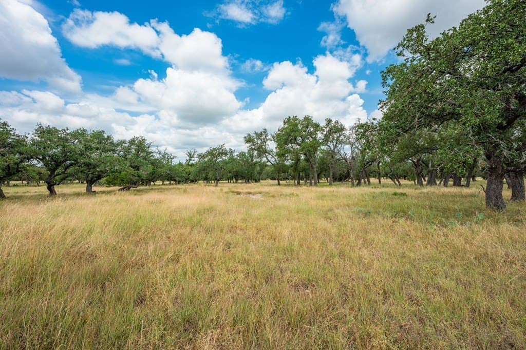 4.3 acres in Gillespie County - photo 8