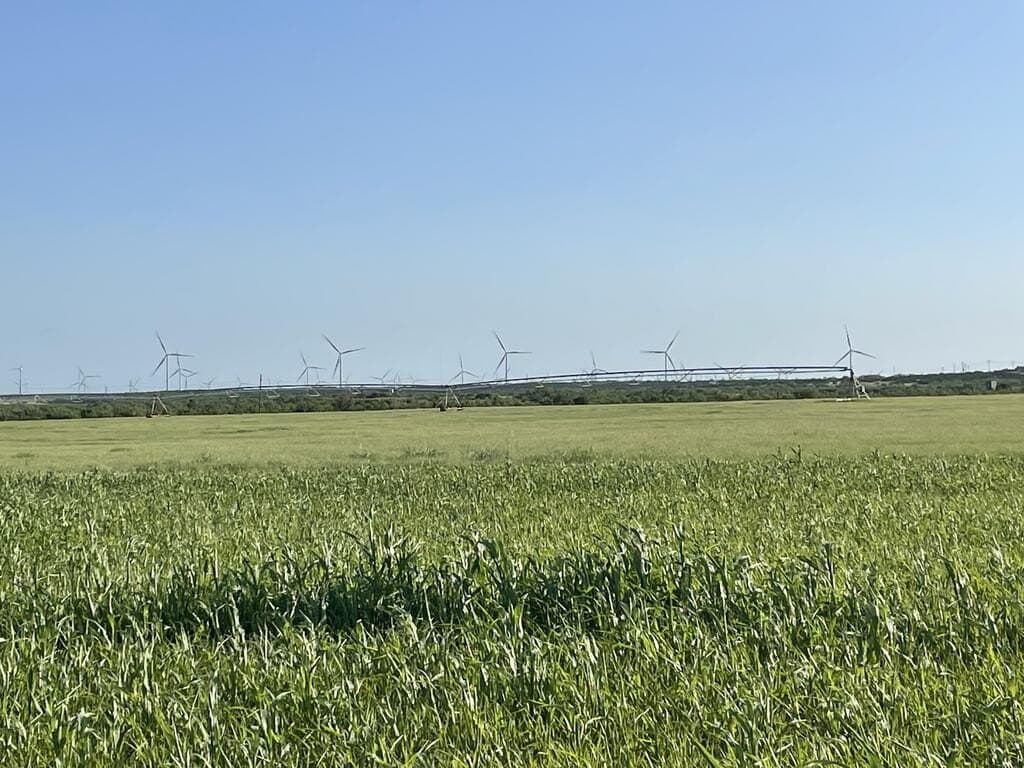 120 acres in Scurry County - photo 3