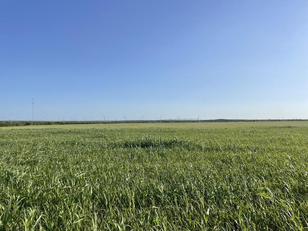 120 acres in Scurry County - photo 4