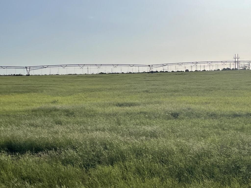 120 acres in Scurry County