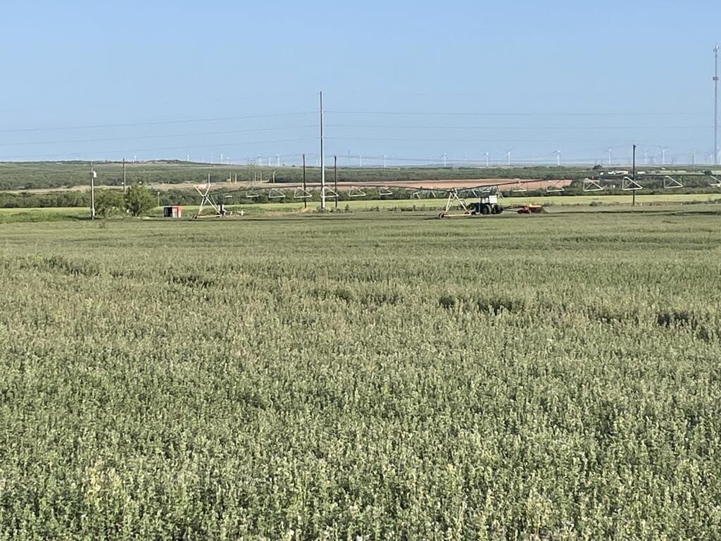 120 acres in Scurry County - photo 5