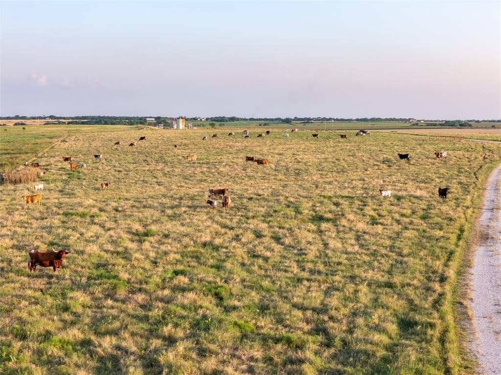 250.49 acres in Denton County gallery image 4