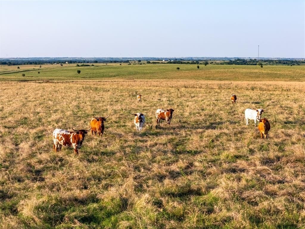 250.49 acres in Denton County gallery image 3