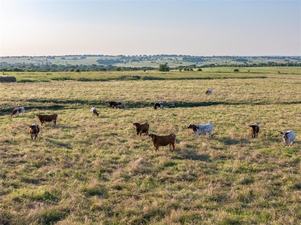 250.49 acres in Denton County