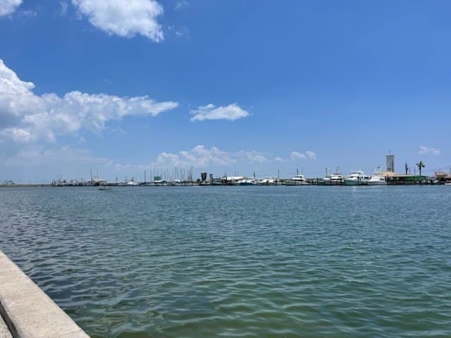 0 acres in Texas County gallery image 4