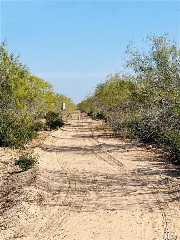 128.45 acres in Jim Hogg County - photo 8