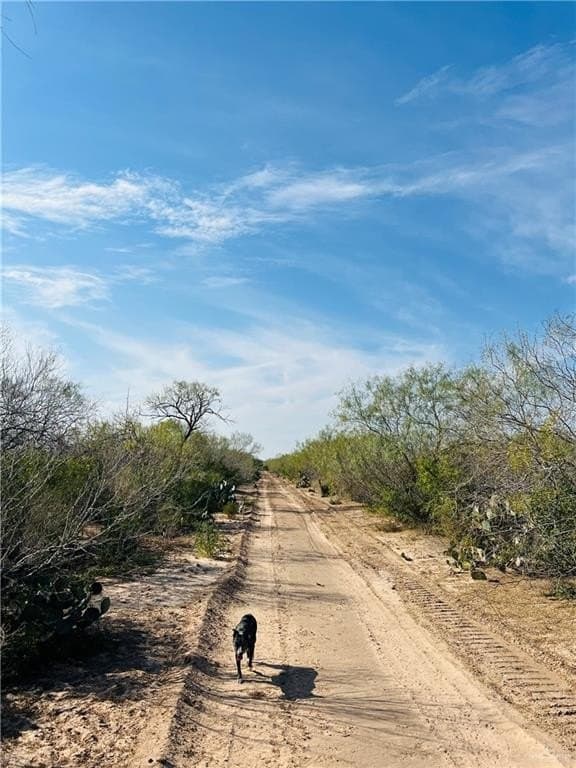128.45 acres in Jim Hogg County featured view