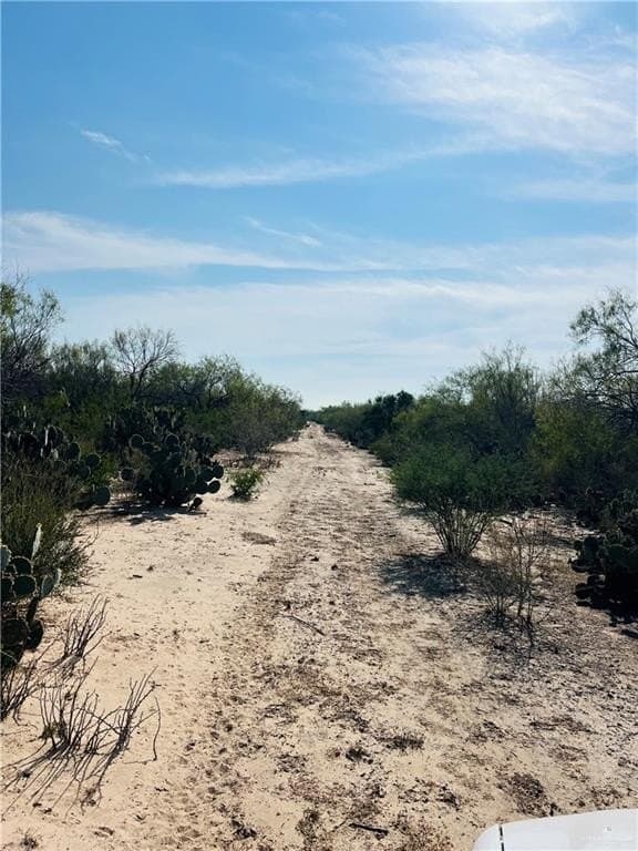 128.45 acres in Jim Hogg County - photo 7