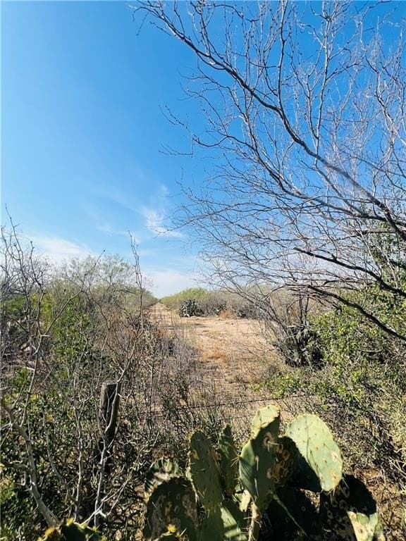 128.45 acres in Jim Hogg County gallery image 3