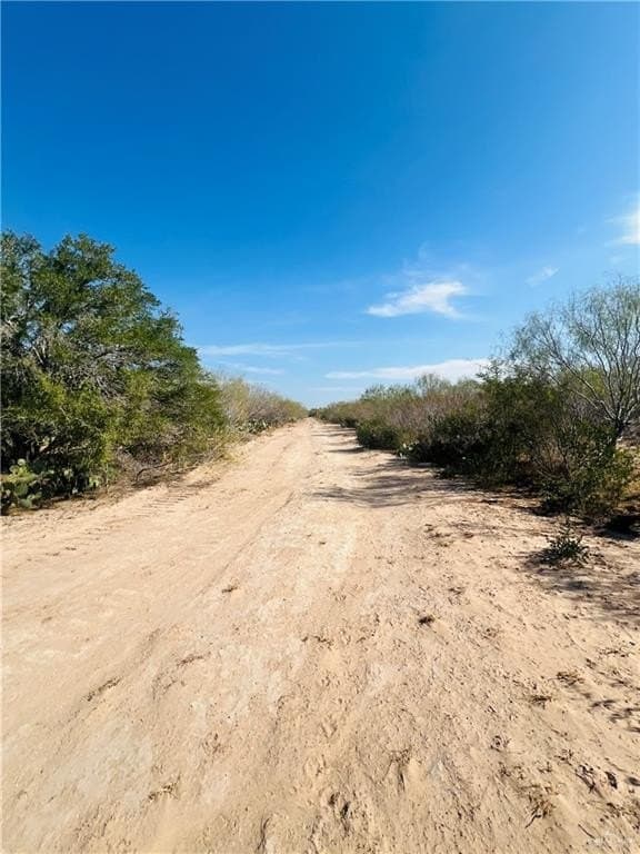 128.45 acres in Jim Hogg County gallery image 2