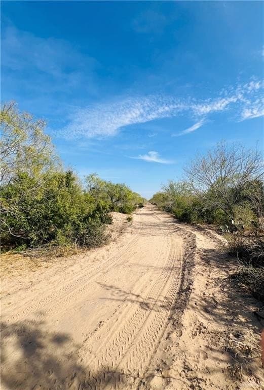 128.45 acres in Jim Hogg County - photo 9