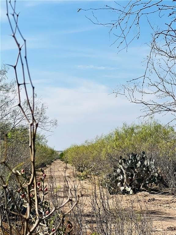 128.45 acres in Jim Hogg County gallery image 4