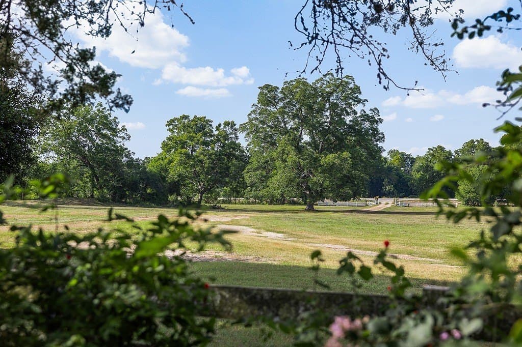 53.56 acres in Fayette County - photo 27