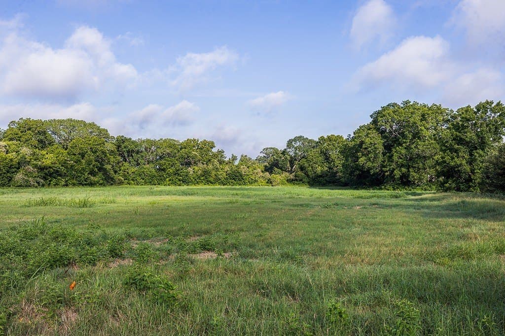 53.56 acres in Fayette County - photo 23