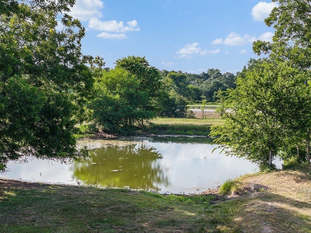 53.56 acres in Fayette County gallery image 4