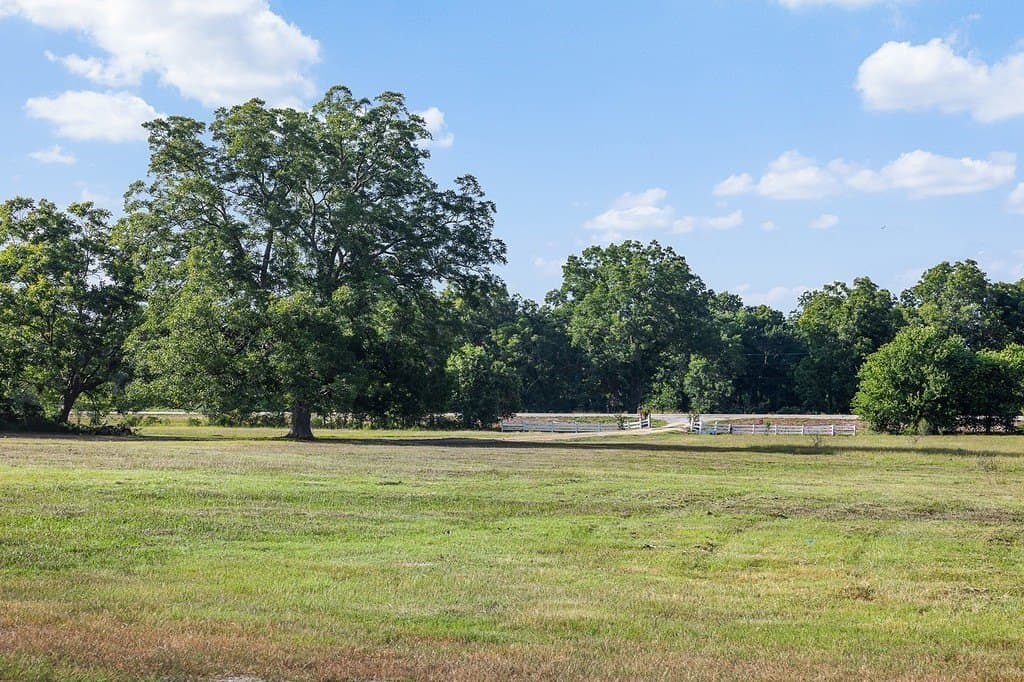 53.56 acres in Fayette County - photo 22
