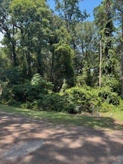 0.36 acres in Texas County gallery image 3