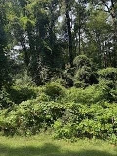 0.36 acres in Texas County