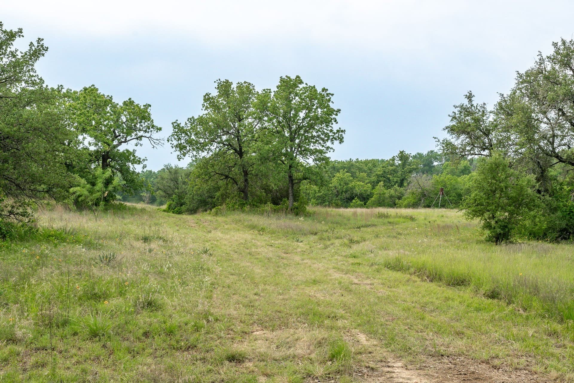 28.9 acres in Comanche County - photo 12
