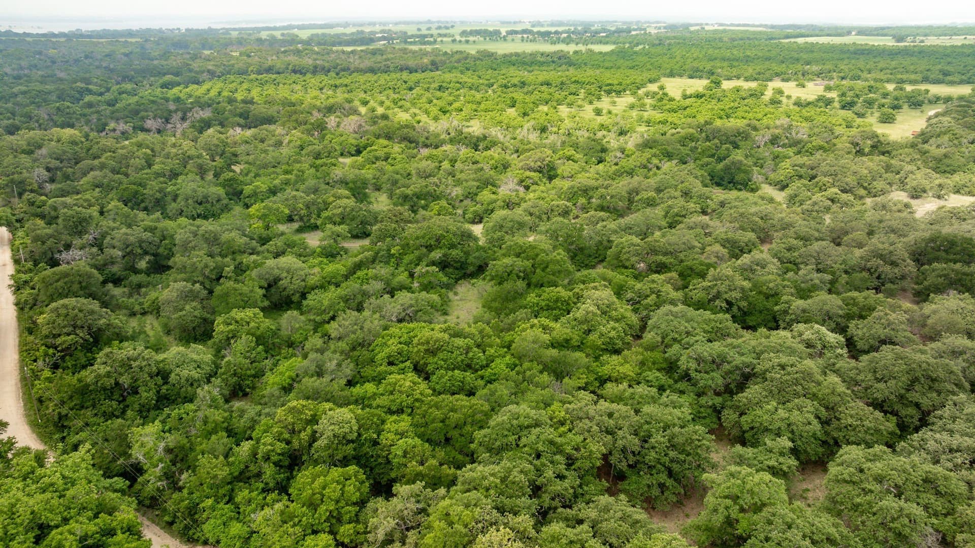28.9 acres in Comanche County - photo 24
