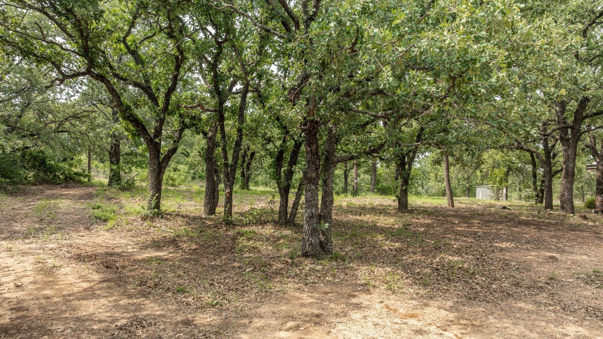 28.9 acres in Comanche County - photo 11