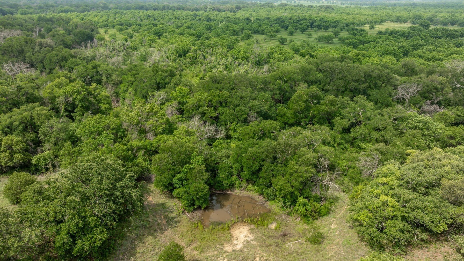 28.9 acres in Comanche County - photo 21