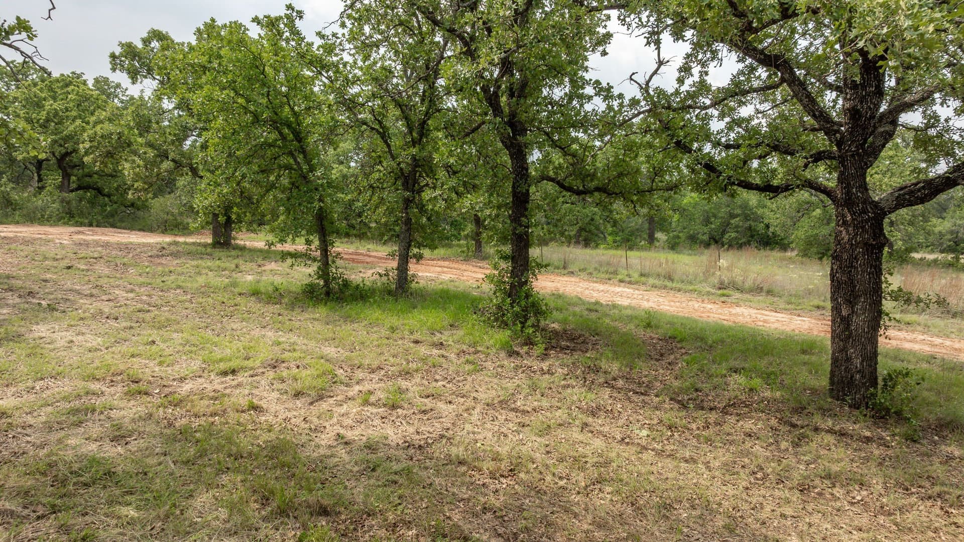 28.9 acres in Comanche County - photo 4