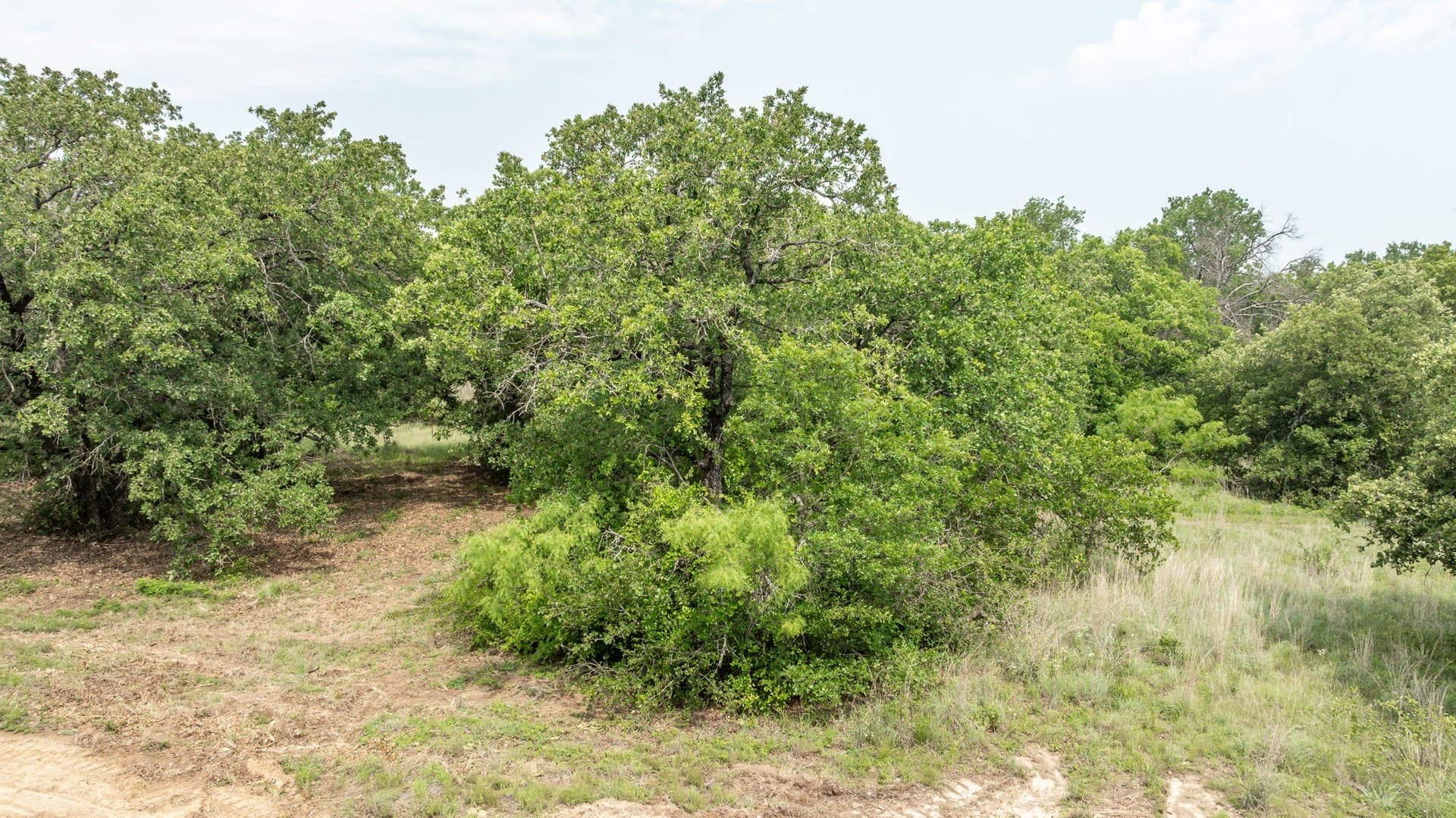 28.9 acres in Comanche County - photo 13
