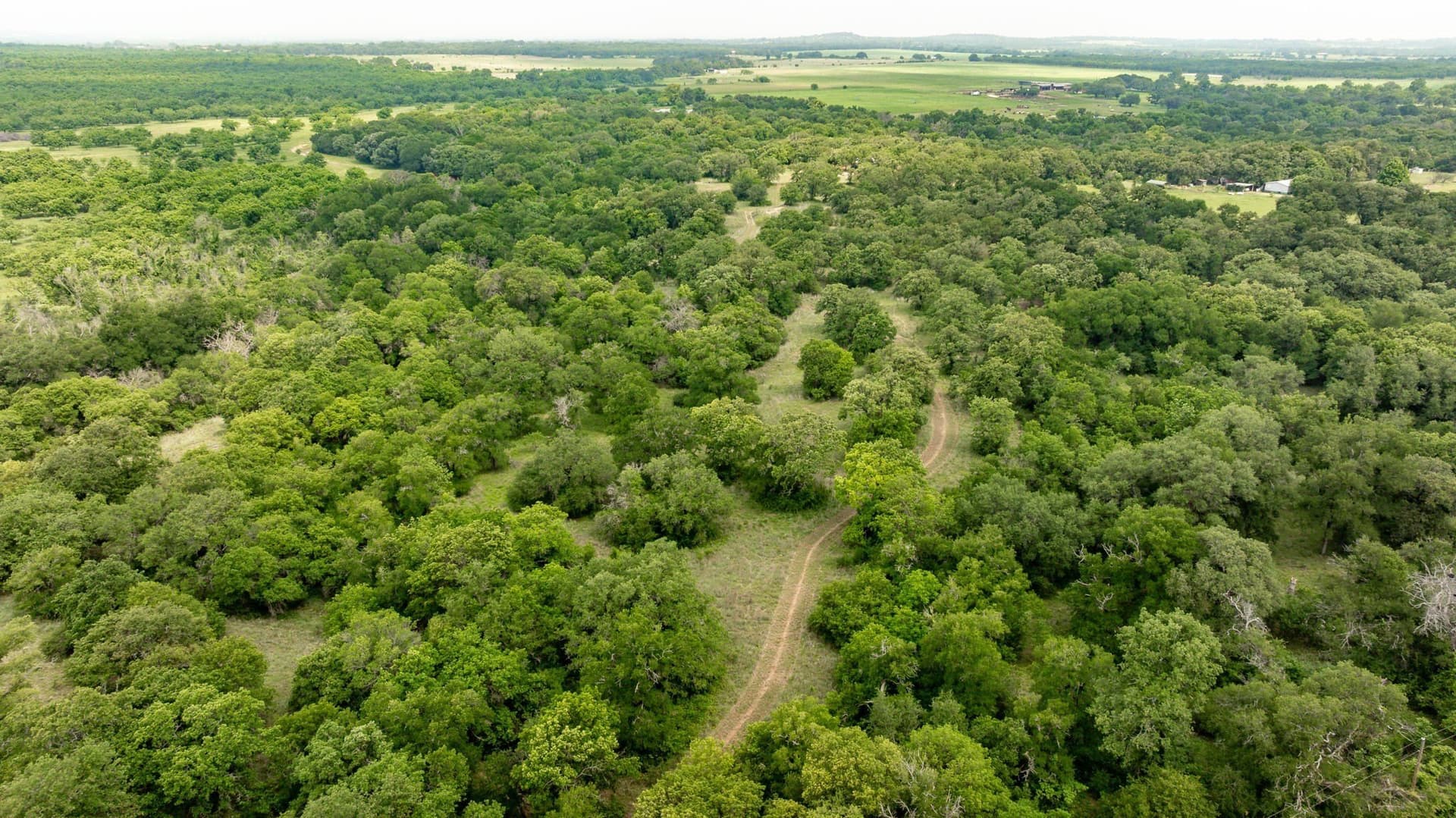 28.9 acres in Comanche County - photo 26