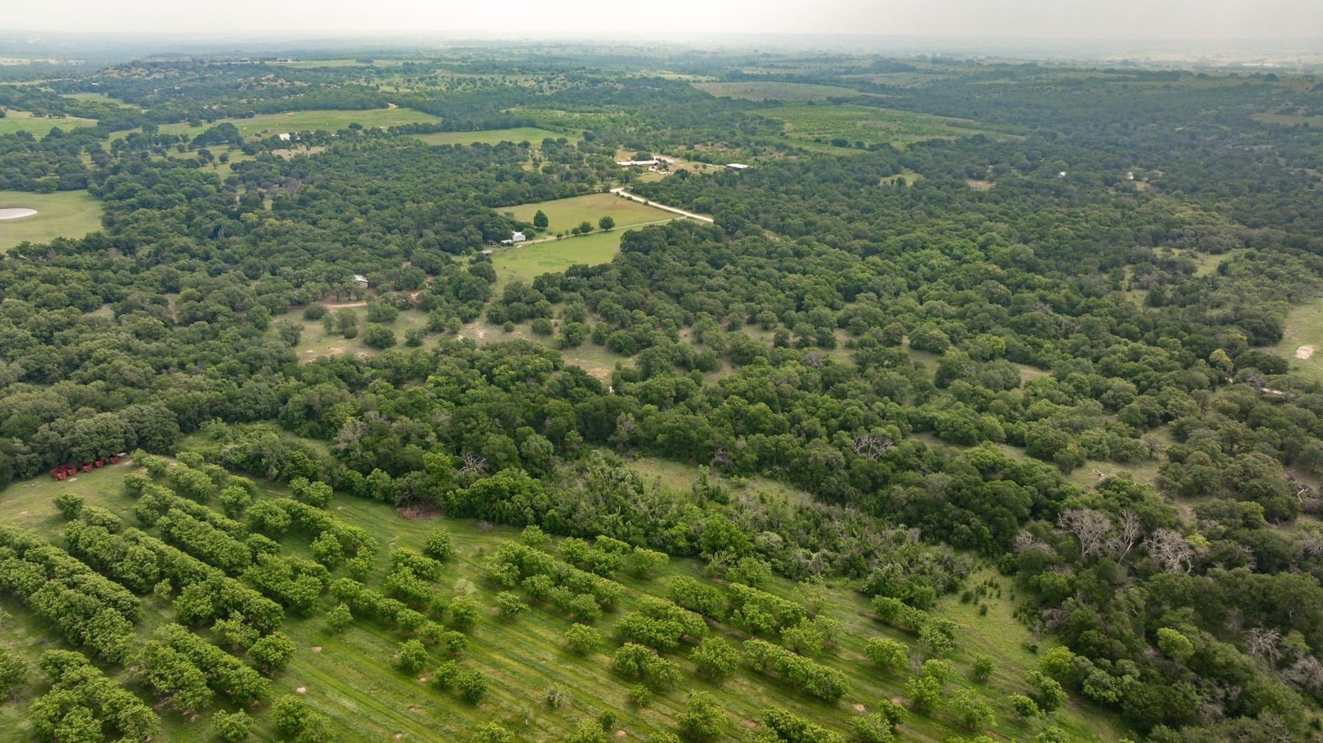 28.9 acres in Comanche County - photo 31
