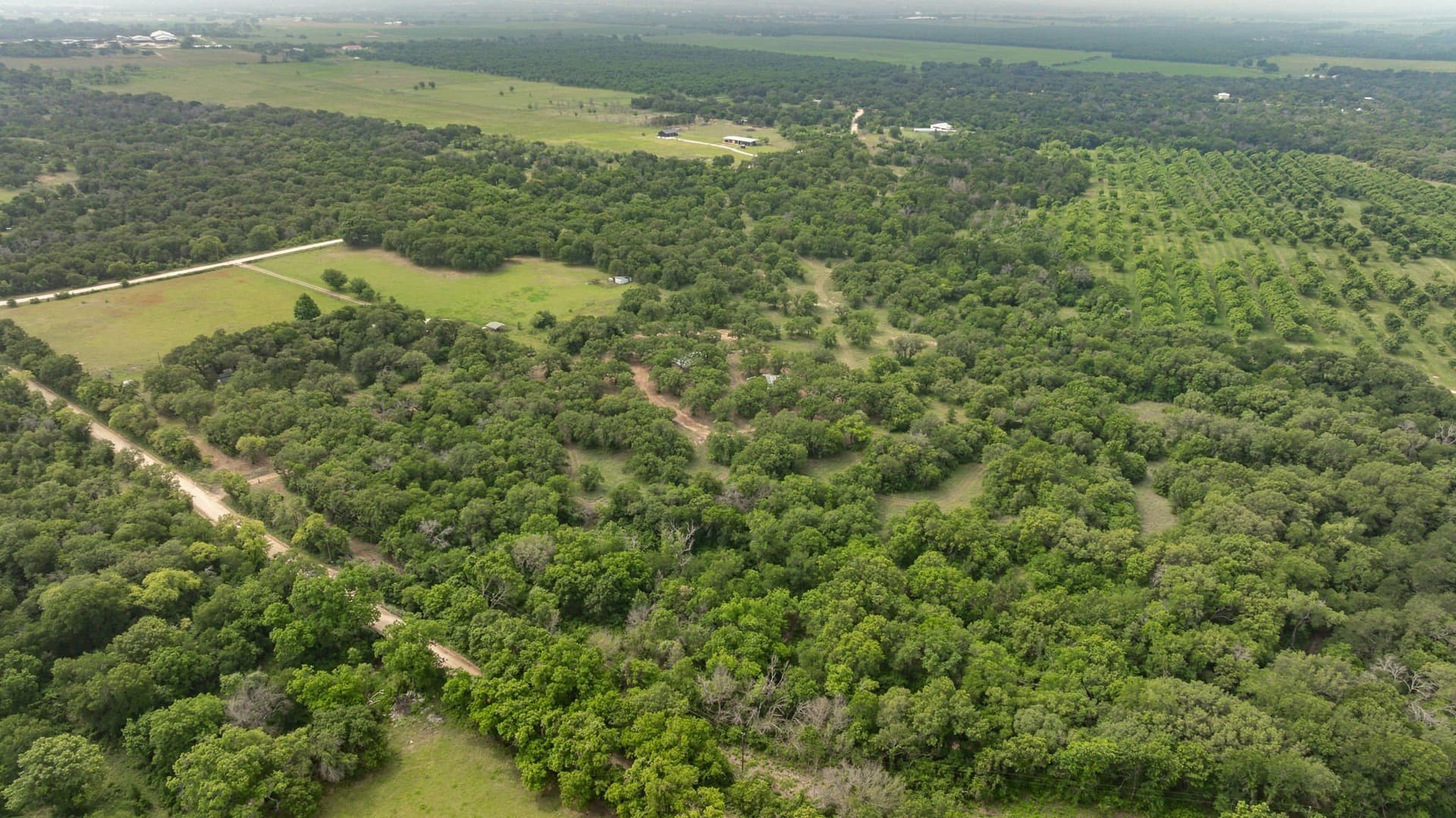 28.9 acres in Comanche County - photo 30