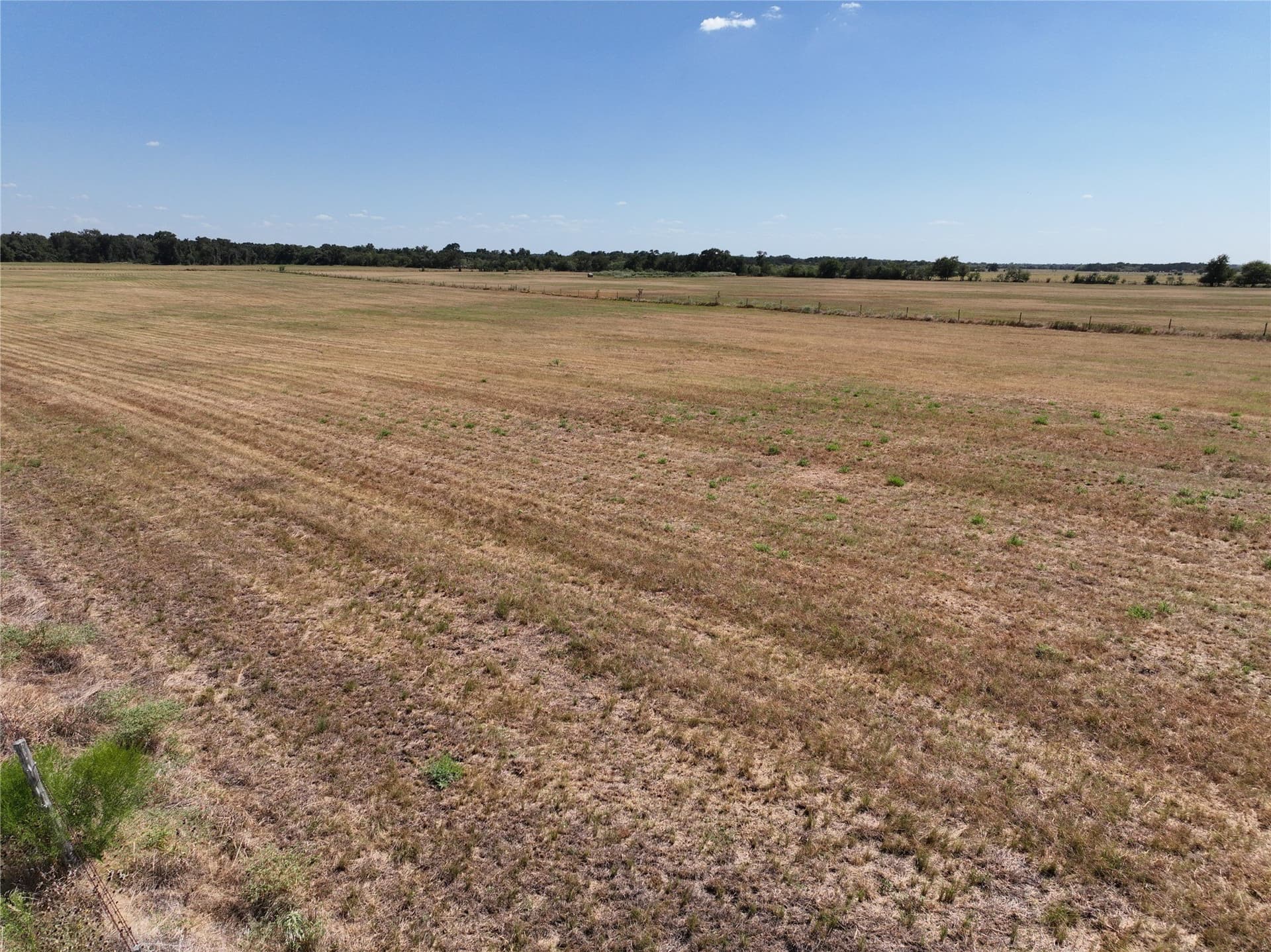 10.01 acres in Falls County - photo 5