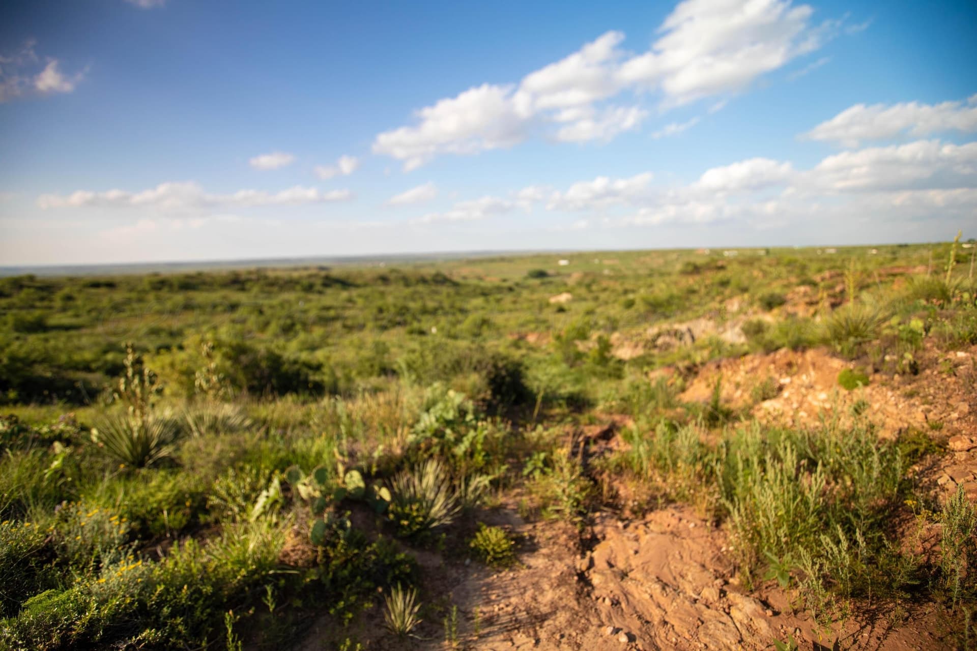 12.59 acres in Potter County featured view