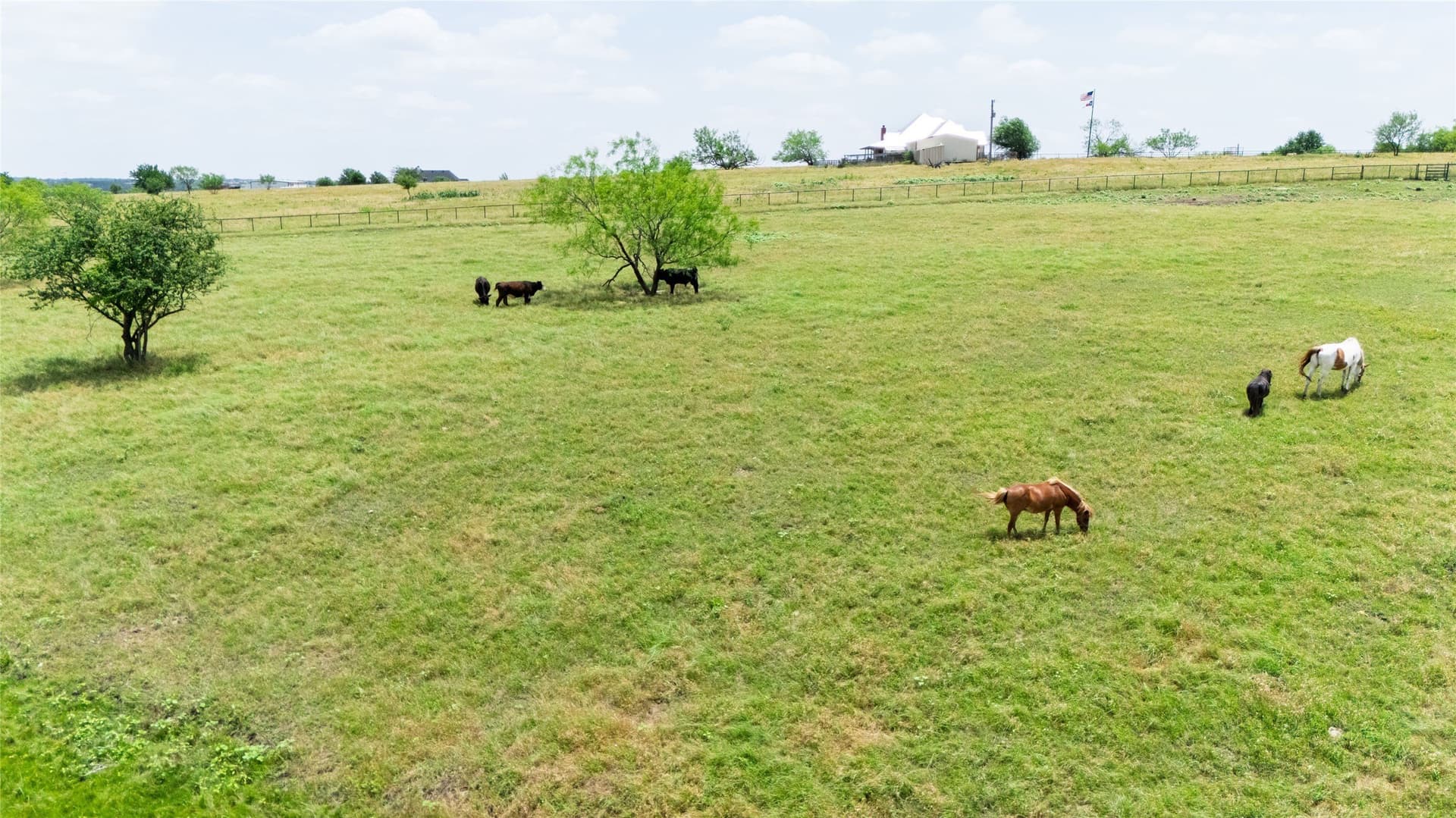 11.6 acres in Wise County - photo 18
